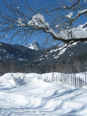 Winterwanderung Seehaus016