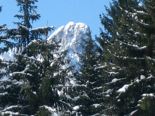 Winterwanderung Seehaus003