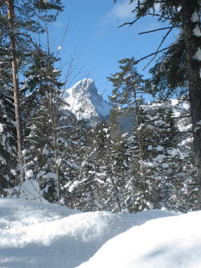 Winterwanderung Seehaus009